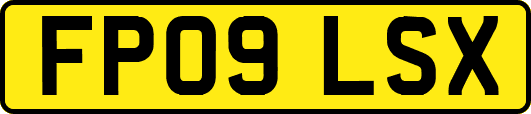 FP09LSX