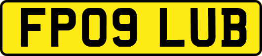 FP09LUB