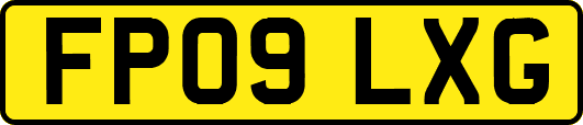 FP09LXG