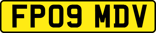 FP09MDV