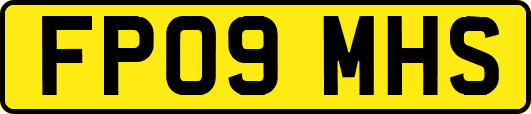 FP09MHS