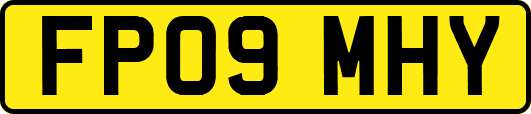 FP09MHY