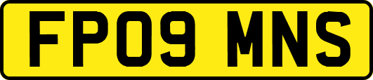 FP09MNS