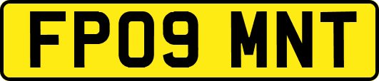 FP09MNT