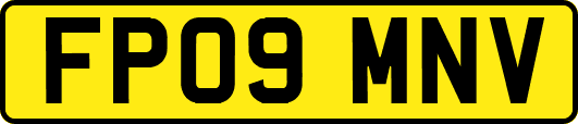 FP09MNV