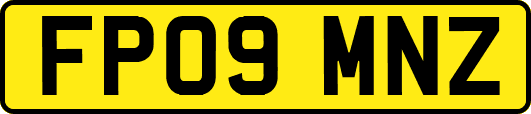 FP09MNZ