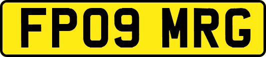 FP09MRG