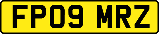 FP09MRZ