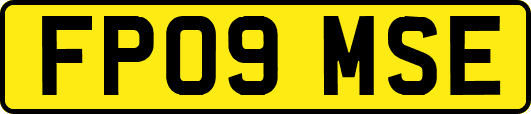 FP09MSE