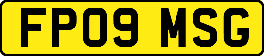 FP09MSG
