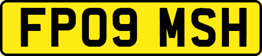 FP09MSH