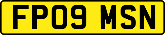 FP09MSN