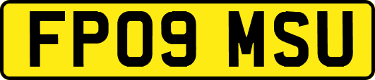 FP09MSU