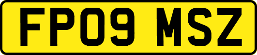 FP09MSZ