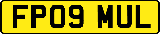 FP09MUL