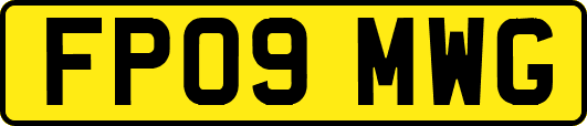 FP09MWG