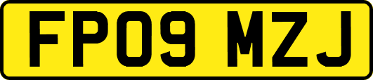 FP09MZJ