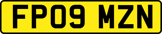FP09MZN