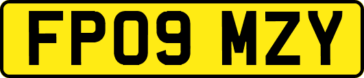 FP09MZY