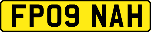 FP09NAH