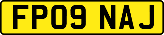 FP09NAJ