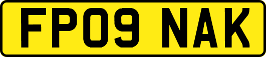 FP09NAK