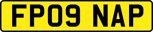 FP09NAP
