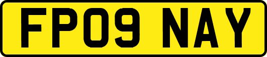 FP09NAY