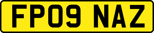 FP09NAZ
