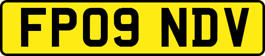 FP09NDV