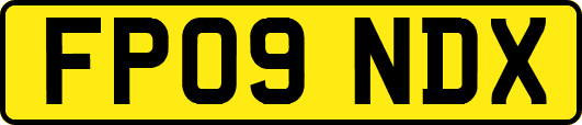 FP09NDX
