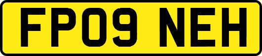 FP09NEH