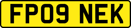 FP09NEK