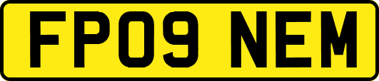 FP09NEM