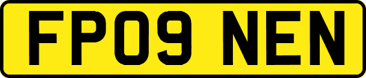 FP09NEN