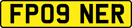 FP09NER