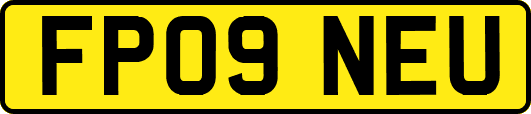 FP09NEU