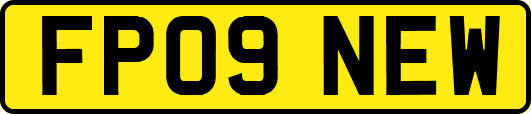 FP09NEW