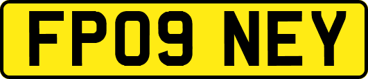 FP09NEY