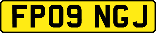 FP09NGJ
