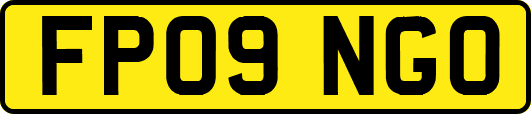 FP09NGO