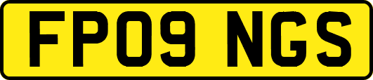 FP09NGS