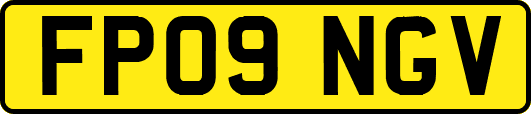 FP09NGV