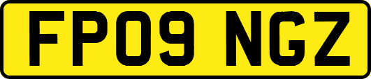 FP09NGZ