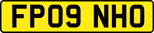 FP09NHO