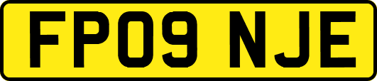 FP09NJE