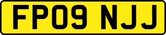 FP09NJJ