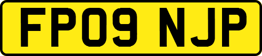 FP09NJP