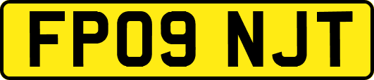 FP09NJT