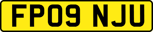 FP09NJU